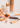 Cosmetics + Beauty