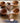 Tiny Neem Scoops & Spoons: Scoop