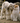 "Catnip Infused" Wool Balls for Felines - Set of 2